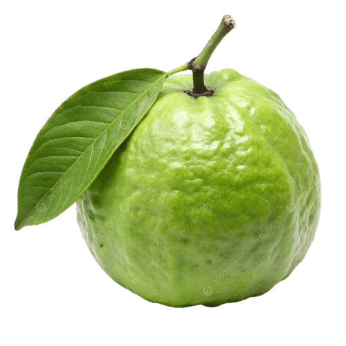 Guava