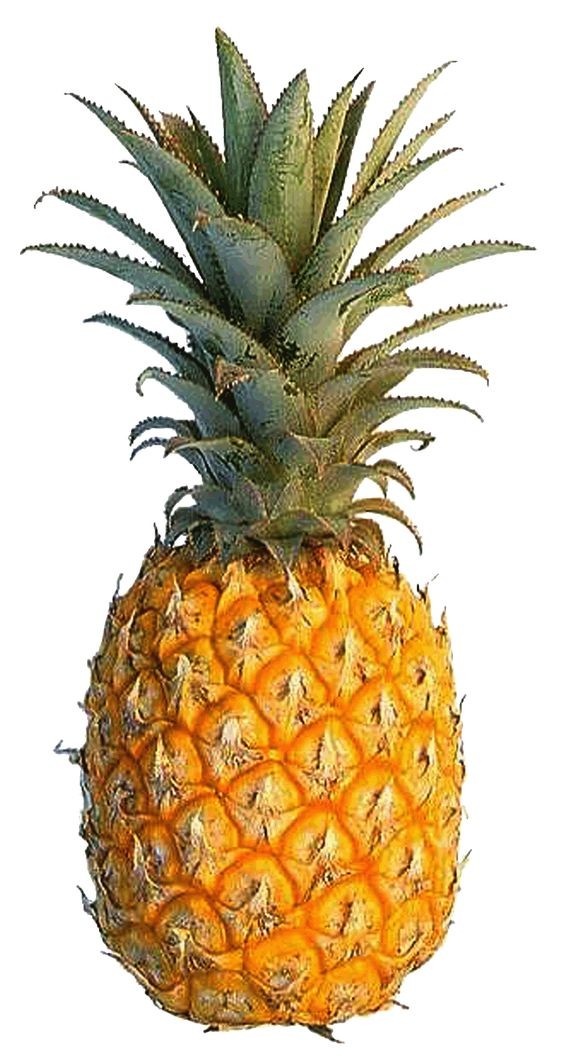 Pineapple