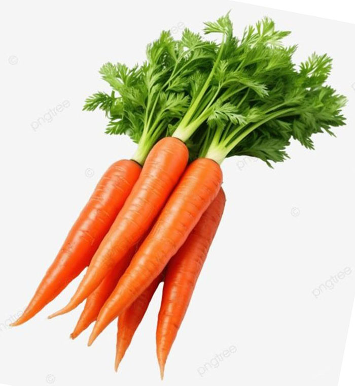 Carrot