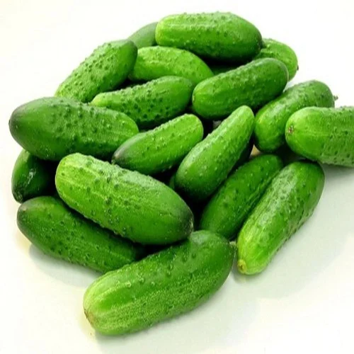 Cucumber & Gherkins
