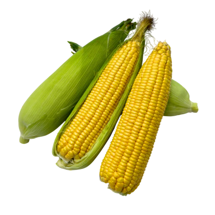 Sweet Corn