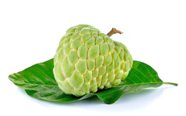 Custard Apple